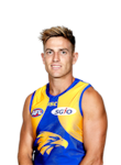 Brad Sheppard profile picture